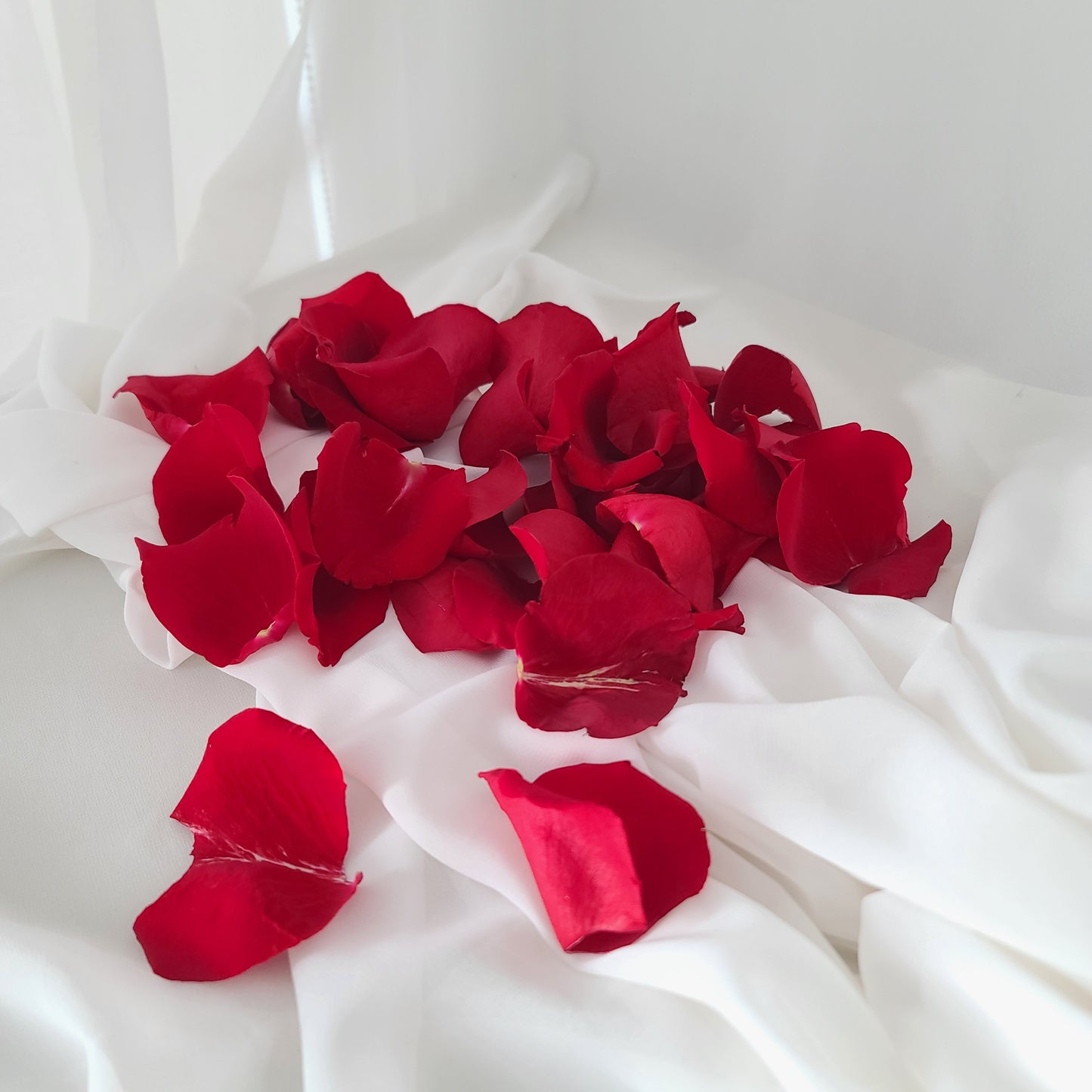 Rose Petals